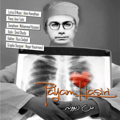 دانلود آهنگ من دیوونه